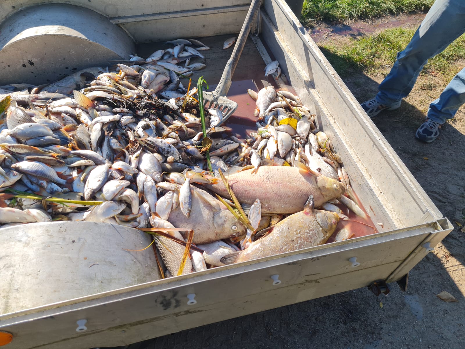 Sauerstoffmangel 2023